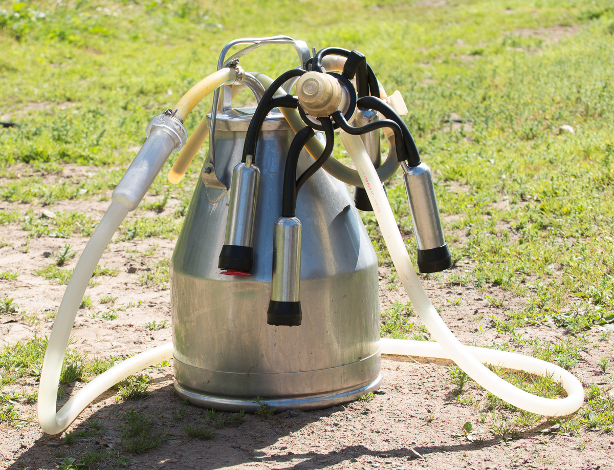 Portable milk pump and bucket milker for sale Woven Meadows Farm