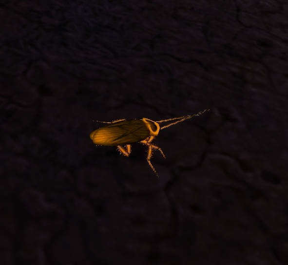 Death's Head Cockroach NPC World of Warcraft
