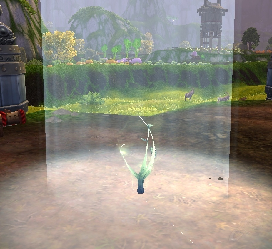 Alluring Enigma Seed - NPC - World of Warcraft