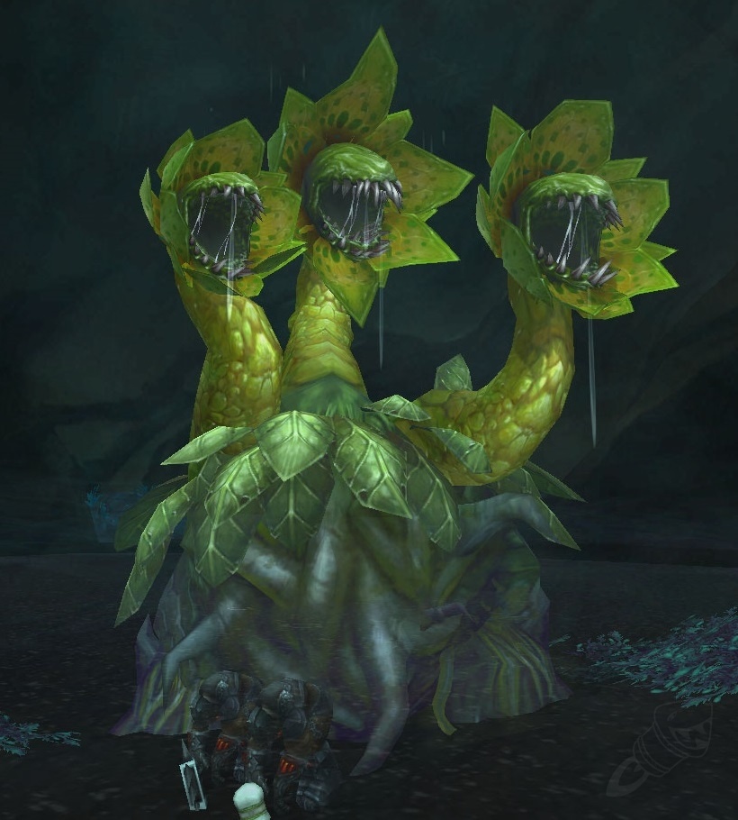 Mandrakor NPC World of Warcraft