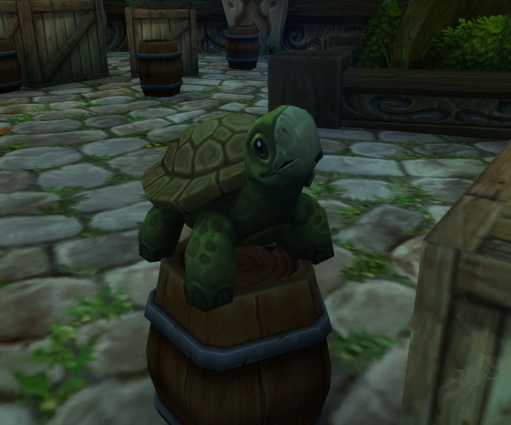 Emerald Turtle NPC World of Warcraft