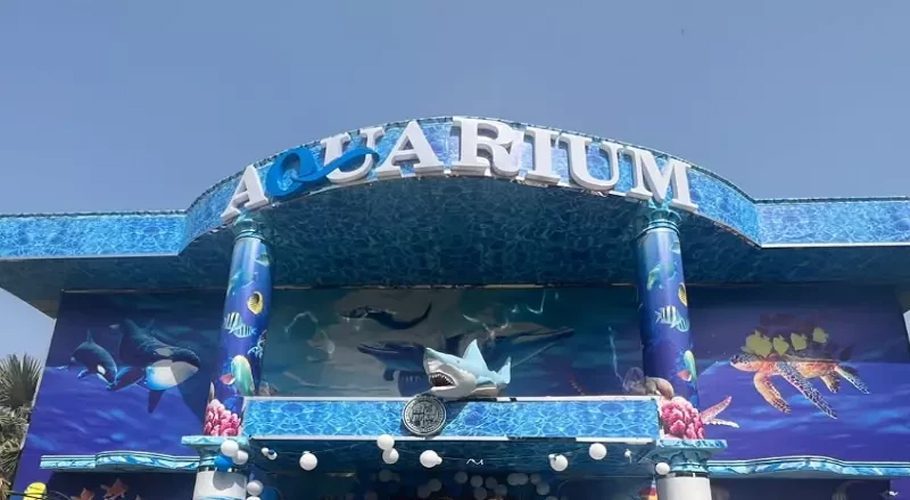 Karachi Zoo New Fish Aquarium Timing, Tickets & More WOW 360
