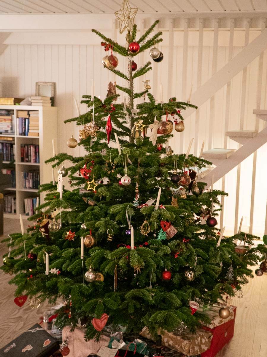 37 GREAT Things Denmark is Famous and Known For Worldwide Walkers