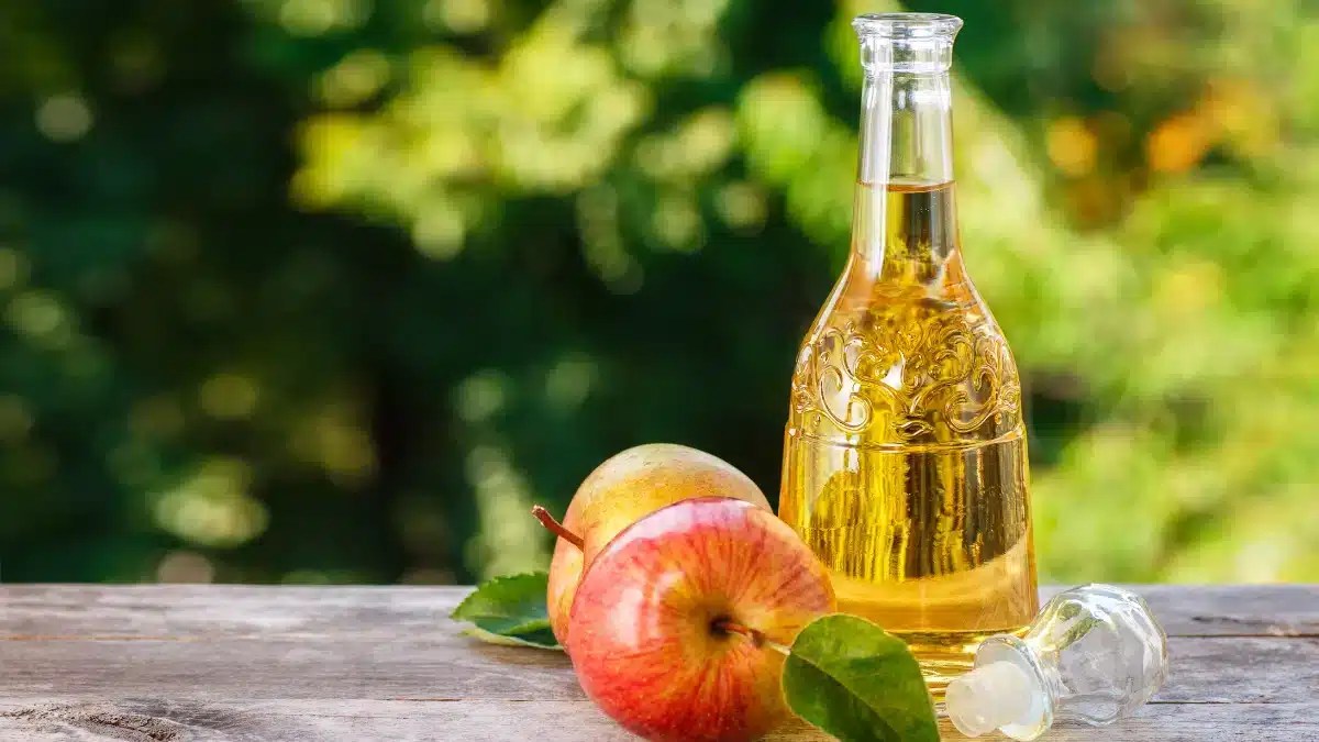 Apple Cider Vinegar for UTI A Sour Relief