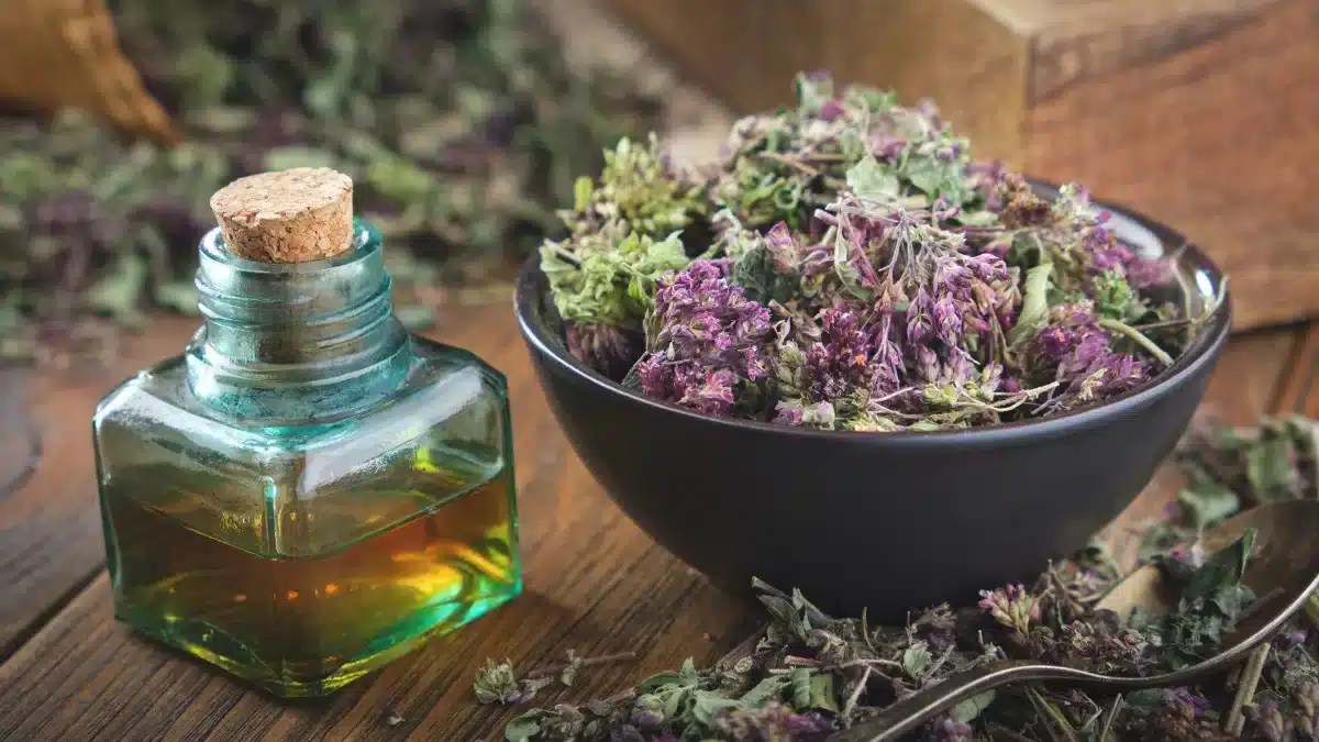 Oregano Oil for UTI A Natural Remedy Worth Exploring