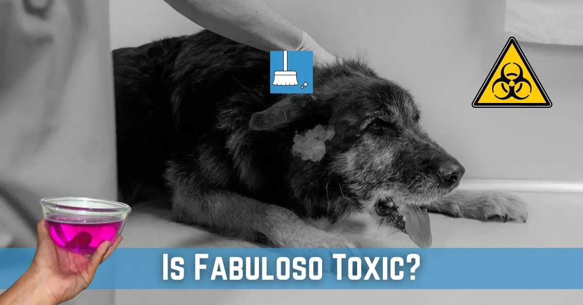 Is Fabuloso Toxic? (Humans, Pets, Environment!)