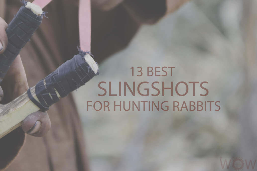 13 Best Slingshot For Hunting Rabbits 2024 WOW Travel