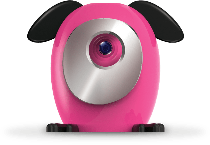 Snap Pets Snap. Perfection.