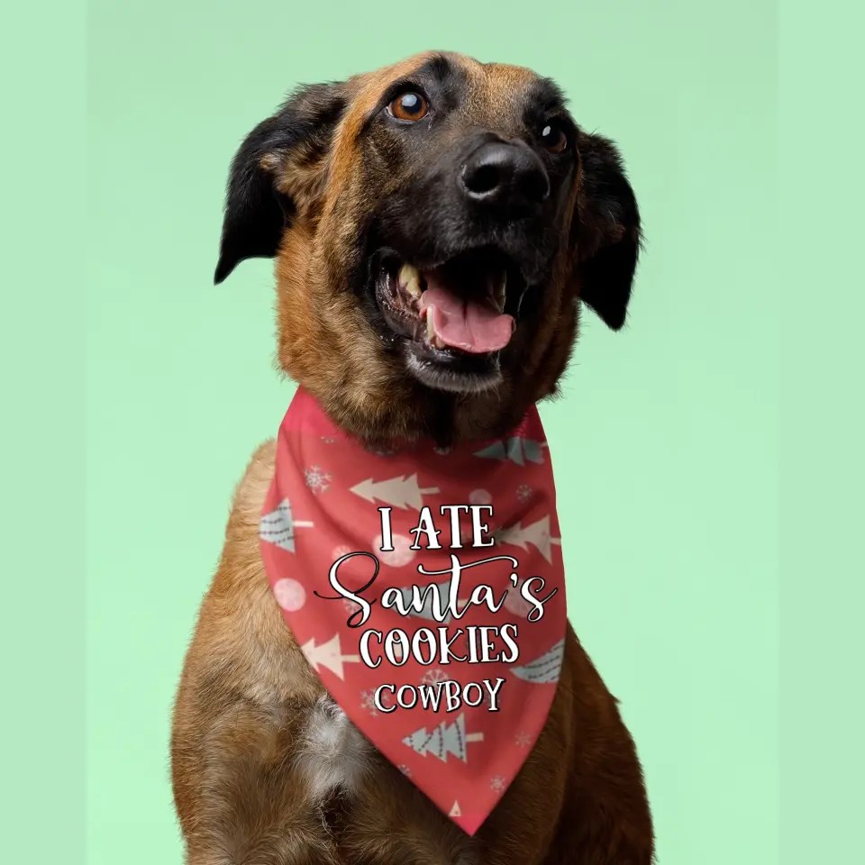 Personalised Christmas Bandana for Dogs Personalised Dog Bandana