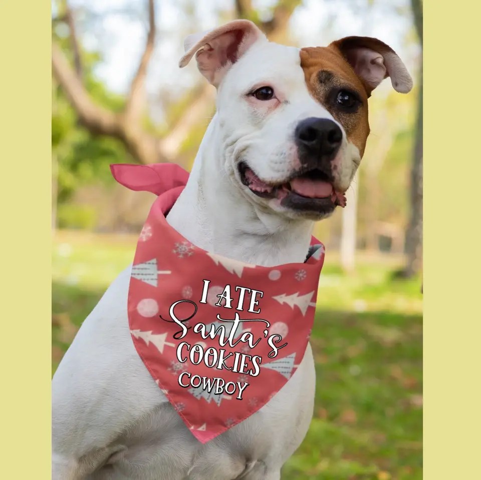 Personalised Christmas Bandana for Dogs Personalised Dog Bandana