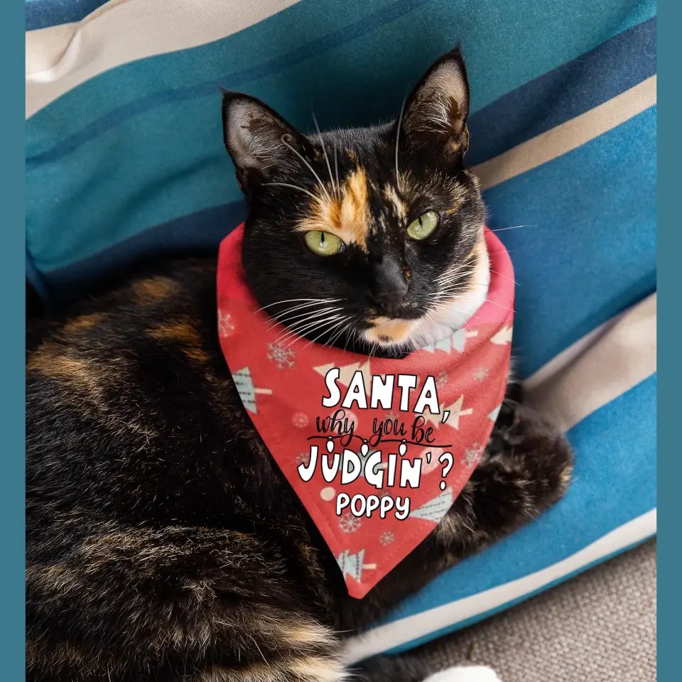 Personalised Christmas Bandana for Cats Personalised Cat Bandana