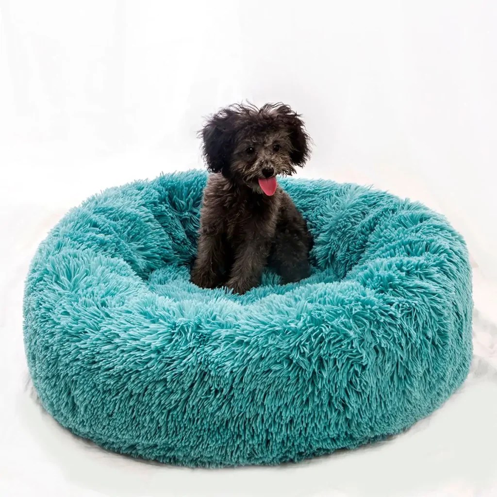 2024 Best Types Of Dog Beds Picks For Ultimate Pet Comfort