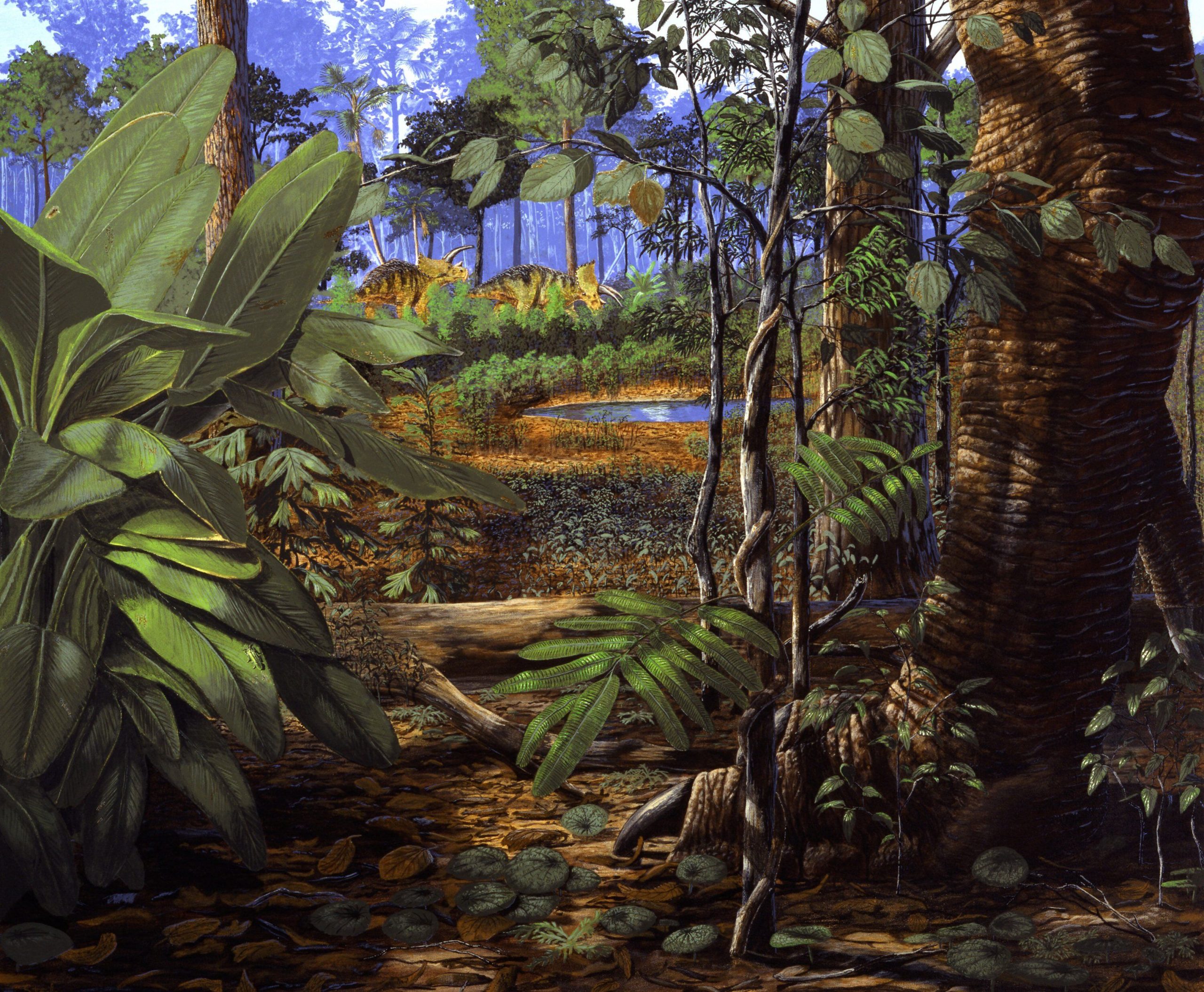 юрская эра растения. мезозойская эра триасовый юрский. мезозойская эра период триас. каменноугольный период палеозойской эры. меловой период мезозойской эры растения.