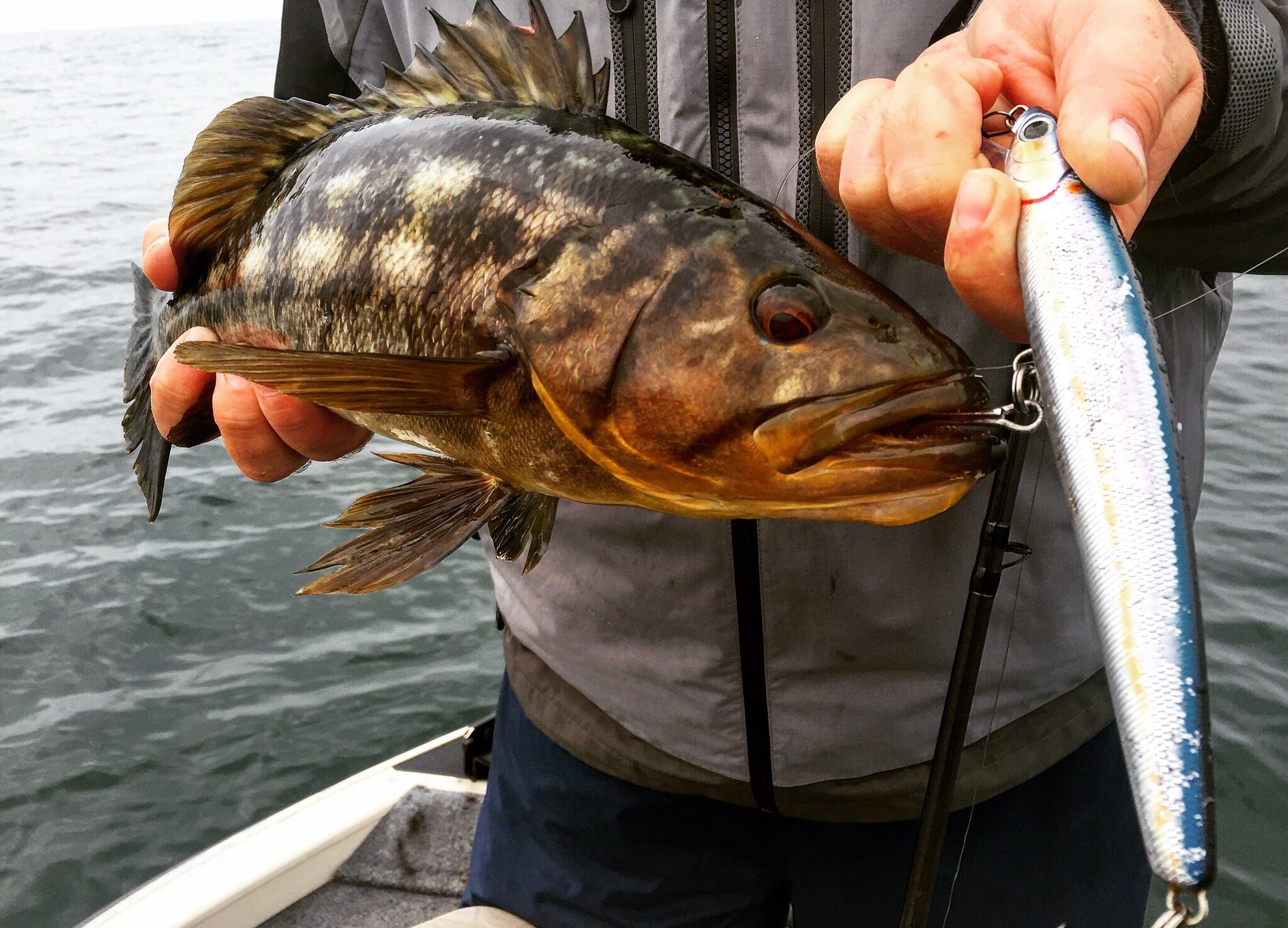 Fishing Hard Baits for Calico Bass BD Outdoors