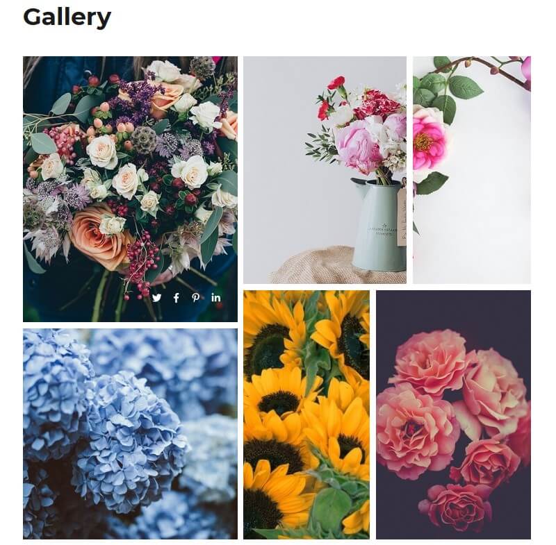 The Definitive Guide How to Make an Online Photography Portfolio