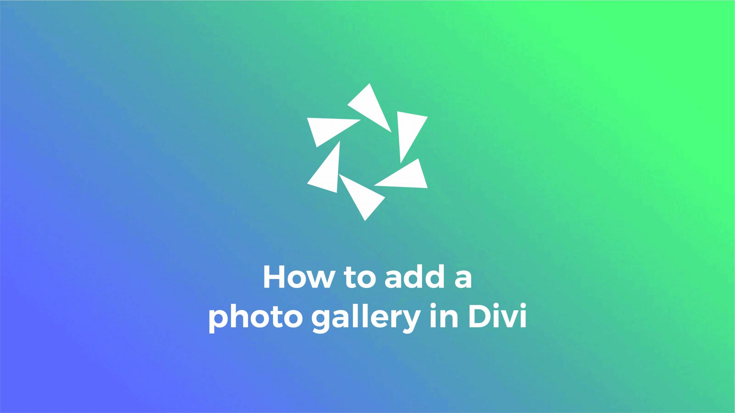 How to add a photo gallery in Divi