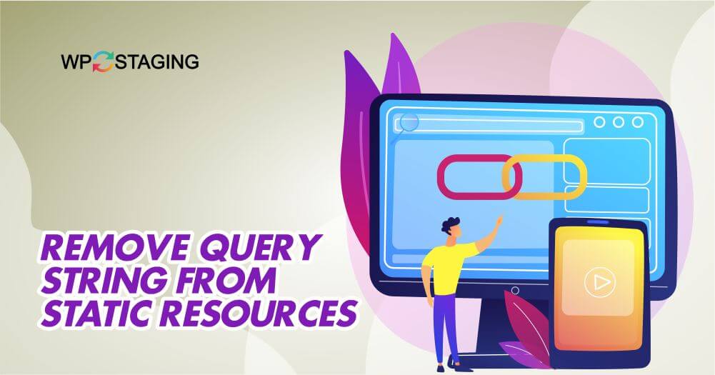 Remove Query Strings from Static Resources in WP