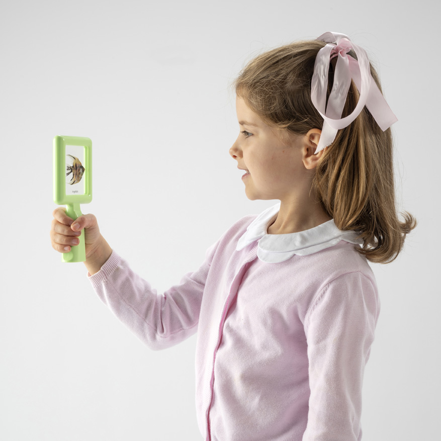 Hold & Stand Specimen Viewers Knowledge Builder