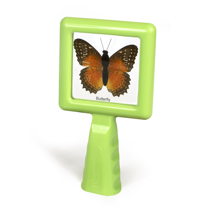 Hold & Stand Specimen Viewers Knowledge Builder