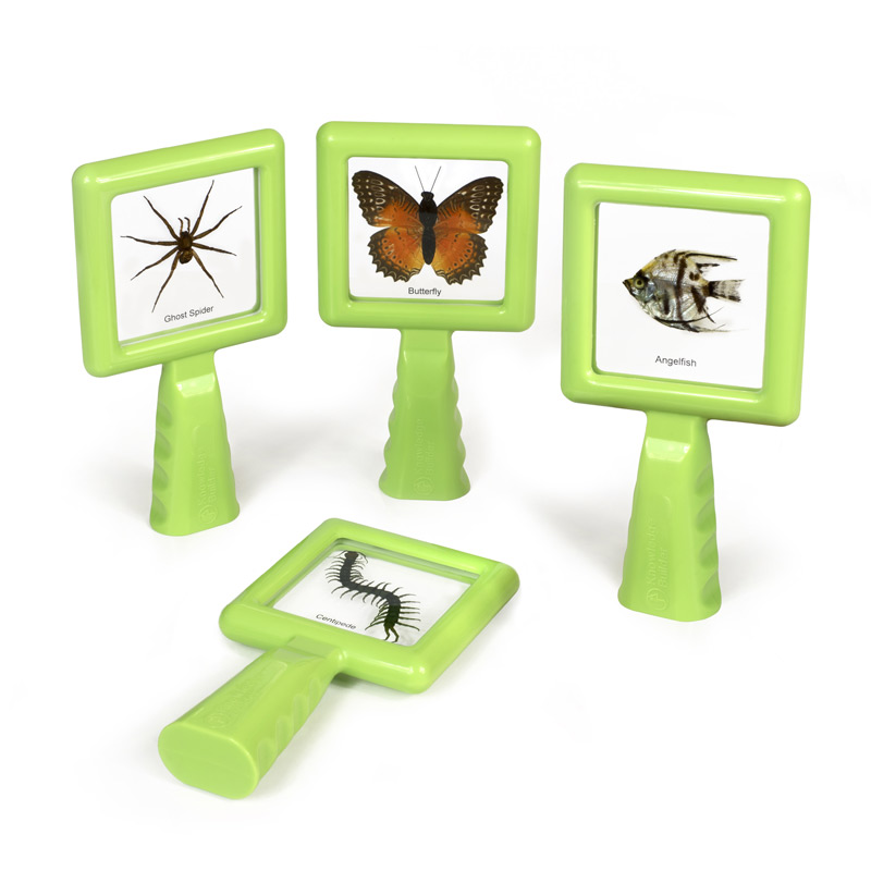 Hold & Stand Specimen Viewers Knowledge Builder