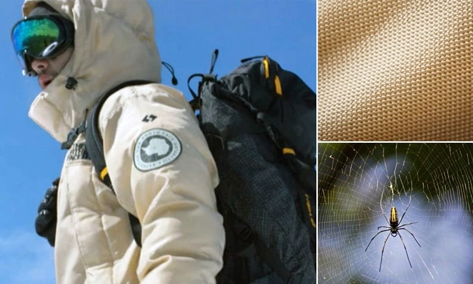 La seda de araña que revoluciona la industria textil Acercando Naciones