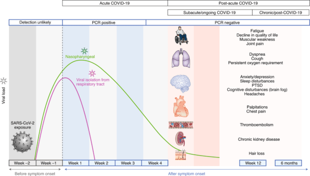 Postacute COVID19 syndrome COV19 Longhaul Foundation Education