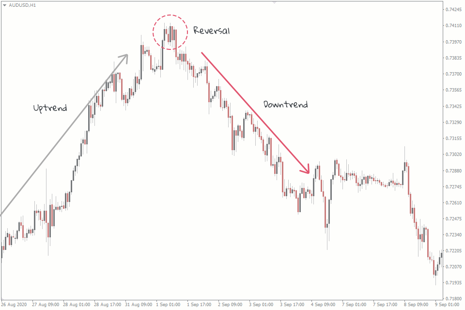 Retracements vs Reversals How to Identify FXSSI Forex Sentiment Board