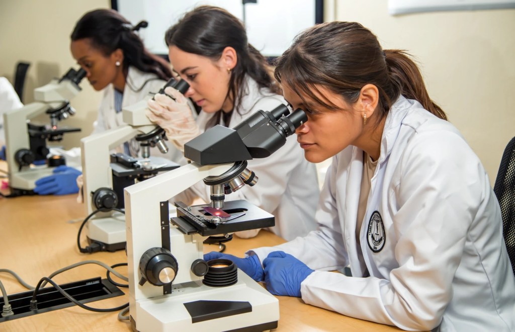 How to Get Into Medical School Your Guide to a Doctor Saba