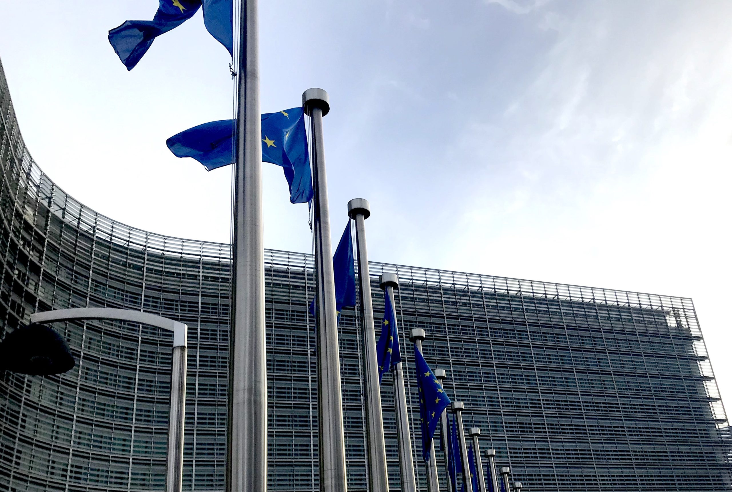 Kinnected’s response to European Commission’s White Paper on Excellence