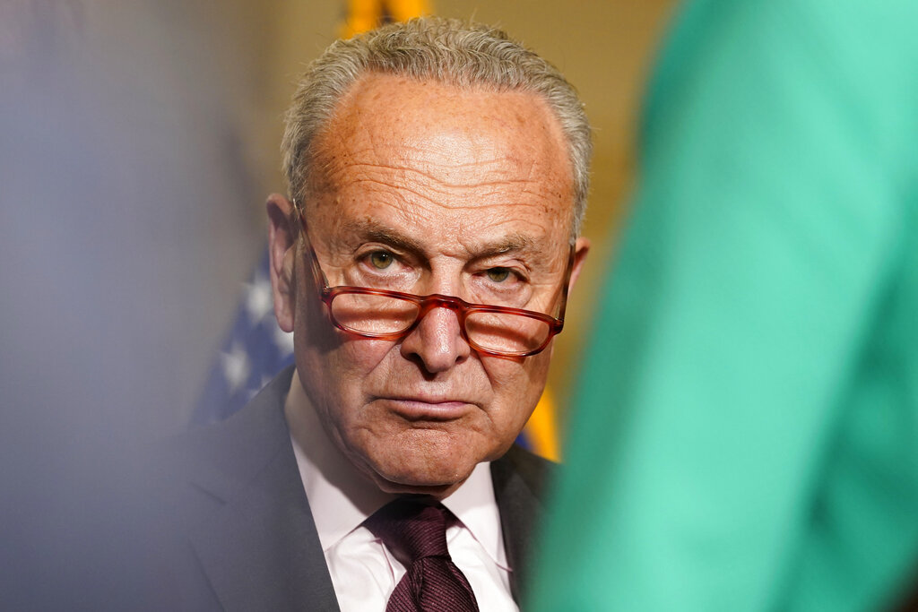 Leading Senate Democrat Schumer Calls for New Elections in Israel