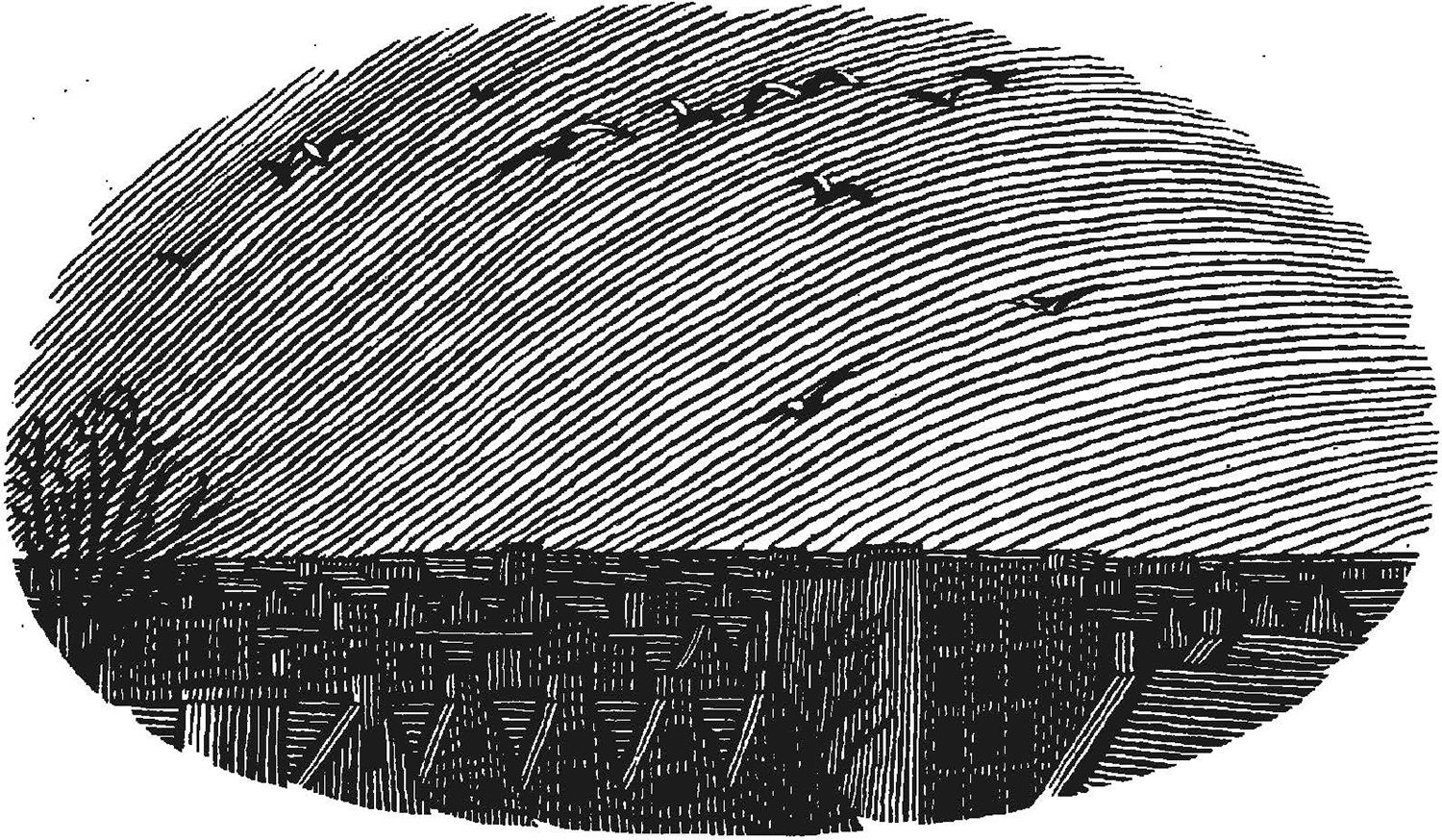 Extract The Diary of a Young Girl by Anne Frank