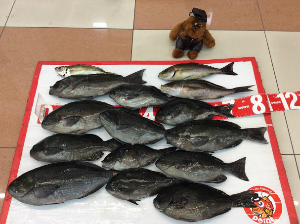 ミック！今年の初釣り！ 釣りのポイント