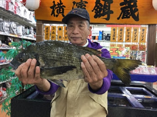 ヘチ釣りでビッグクロダイ！！ 釣りのポイント