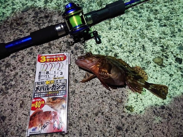 小出のさぐり釣り！ 釣りのポイント