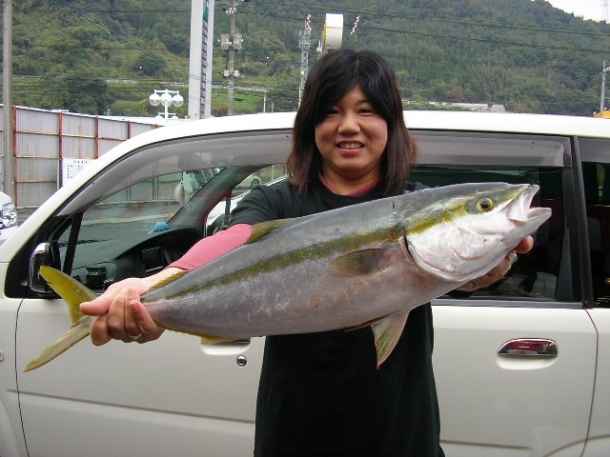 ハマチだっ！ 釣りのポイント