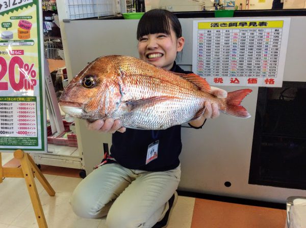 イカナゴパターン最高♪ 釣りのポイント
