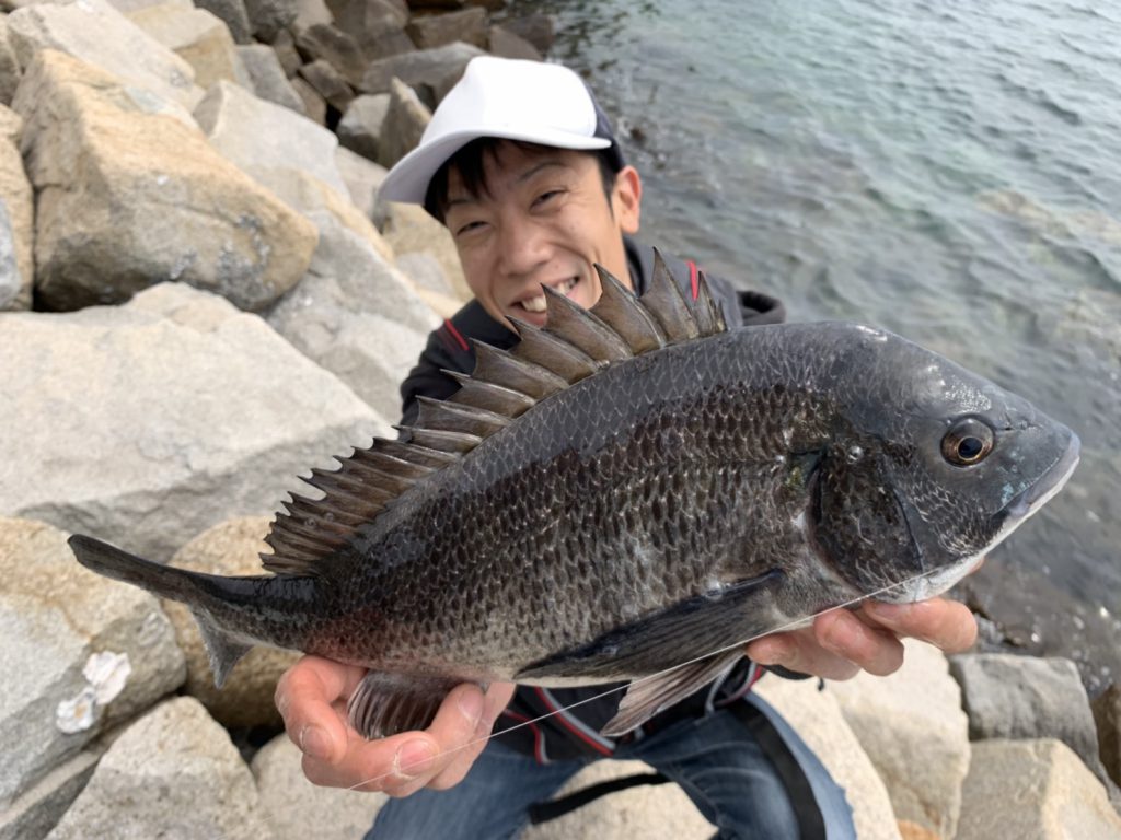釣りのポイント