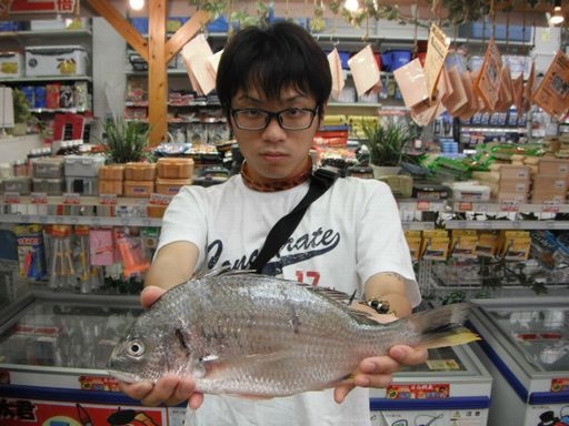 太刀魚狙いで・・・・ 釣りのポイント