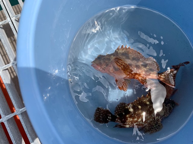 与次郎釣りチャンネル5/4 釣りのポイント