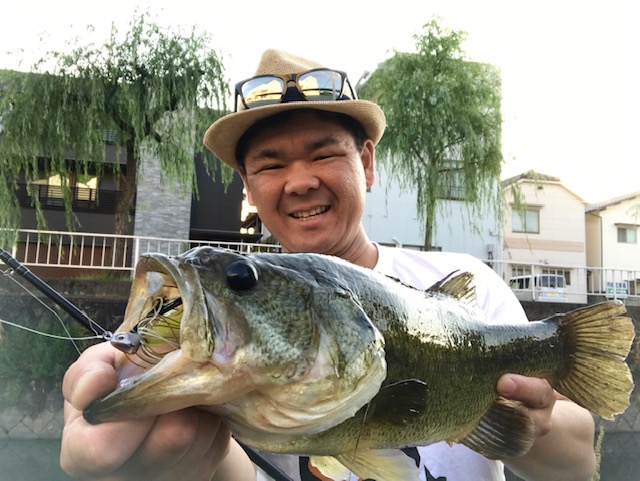 てらじブログ 初夏の倉敷川！ 釣りのポイント