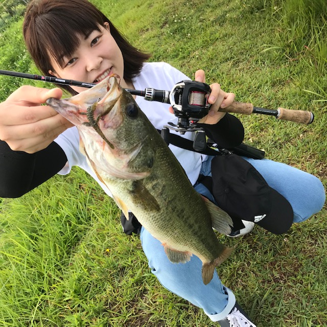 新宅のクリーミーフィッシング 淡路島ガイド編!! 釣りのポイント