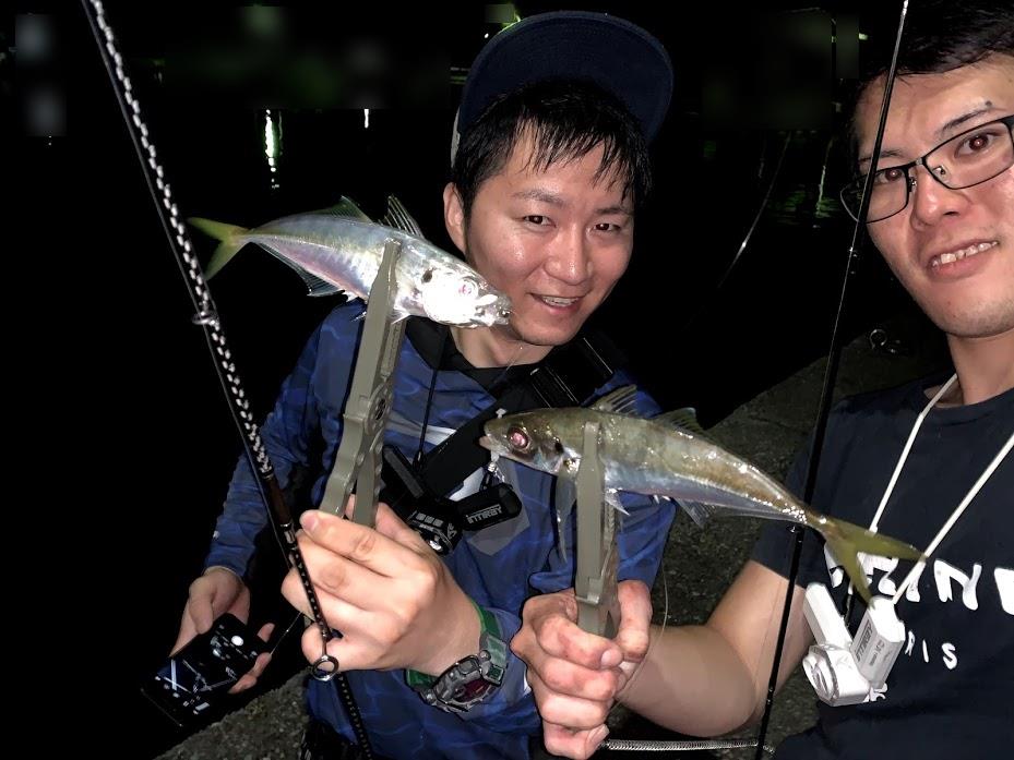周防大島アジ情報！ 釣りのポイント