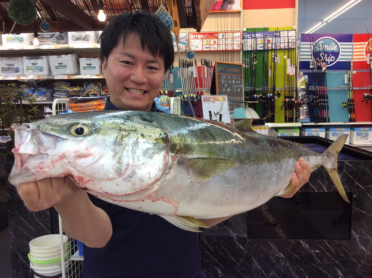 岩国アオモノ絶好調！ 釣りのポイント