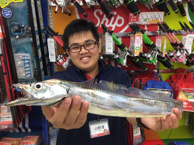 2019関東3魚種ダービー【タチウオ】 釣りのポイント