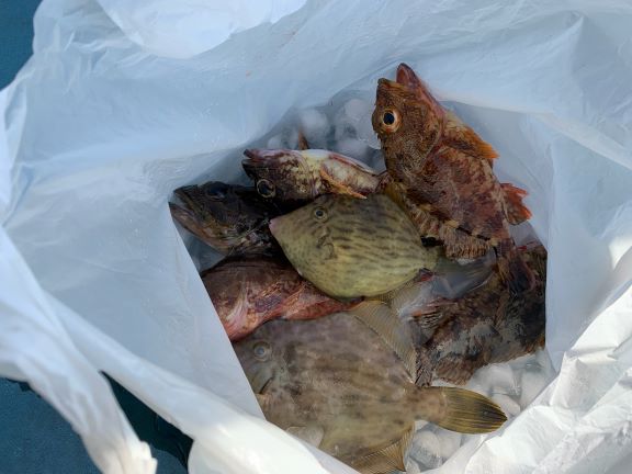 与次郎釣りチャンネル11/2 釣りのポイント