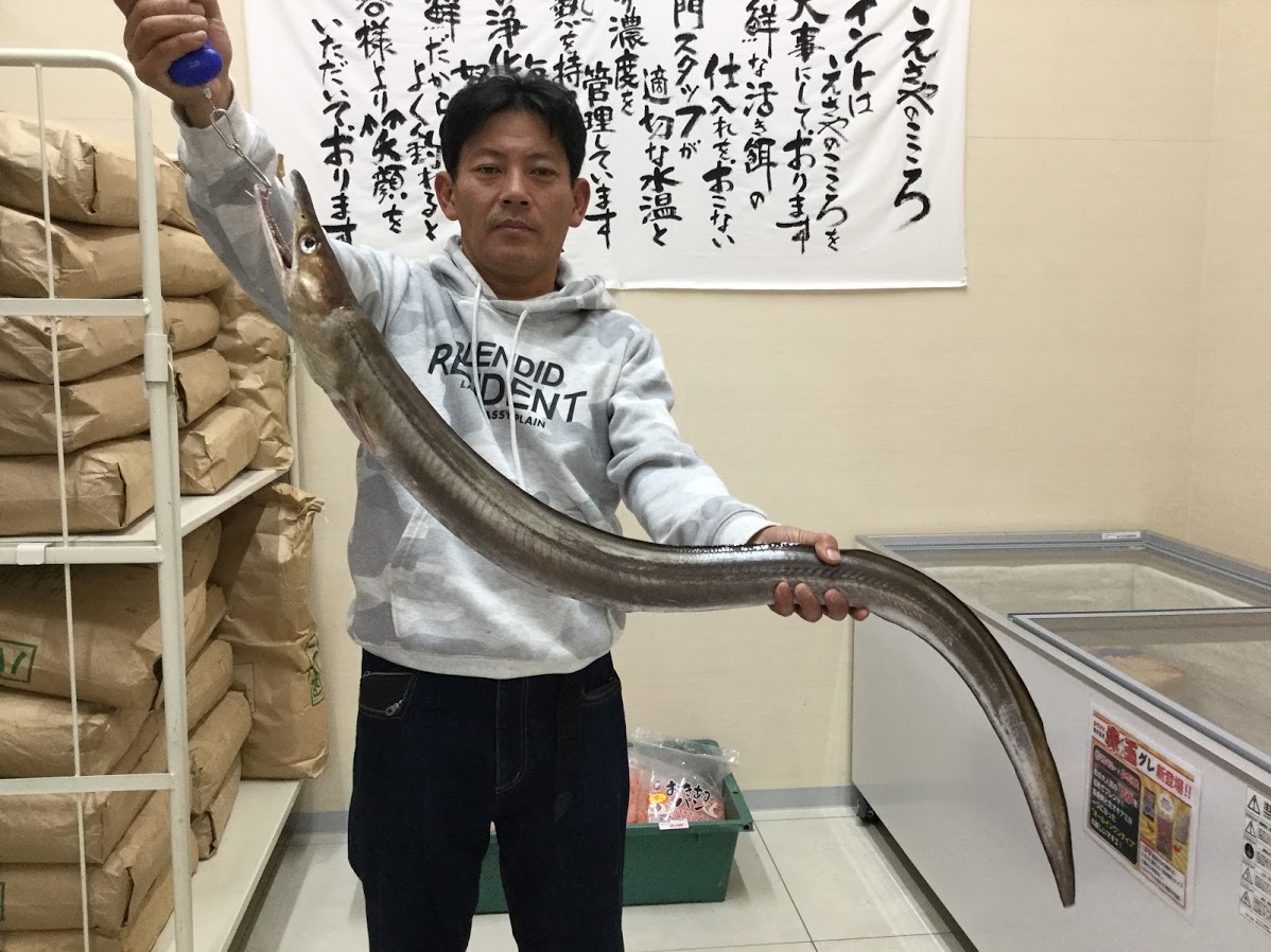ハモ！！！ 釣りのポイント
