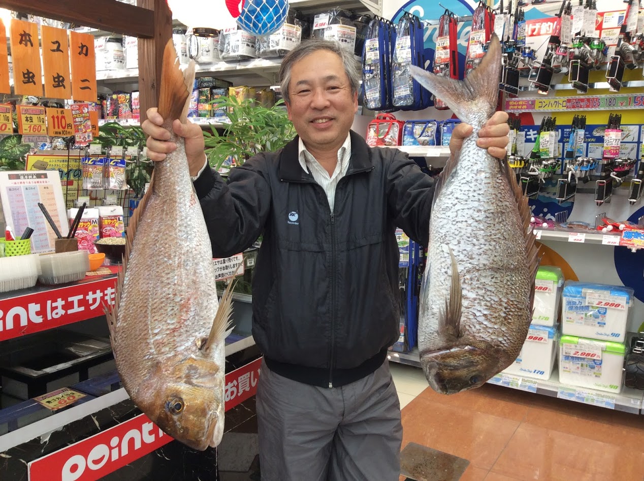 BIG真鯛のお持ち込み★ 釣りのポイント
