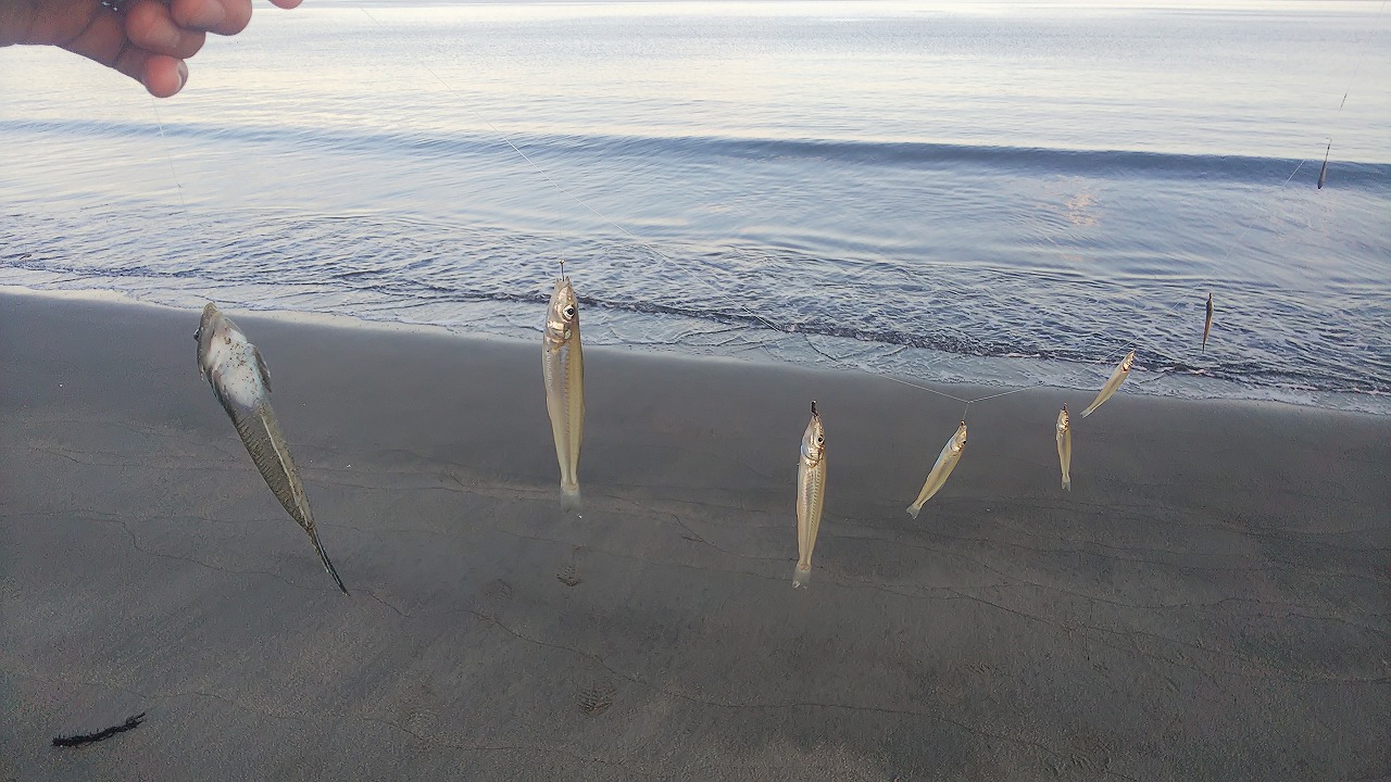 隊長の奇妙な釣り冒険 糸島でキス釣り 釣りのポイント