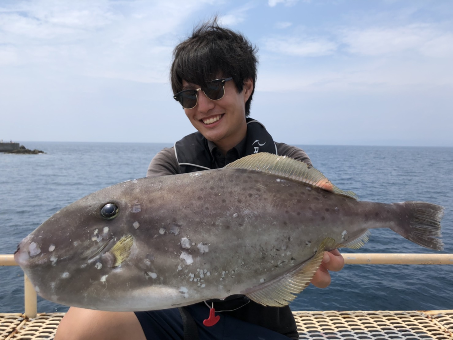 スタッフ釣果情報 釣りのポイント