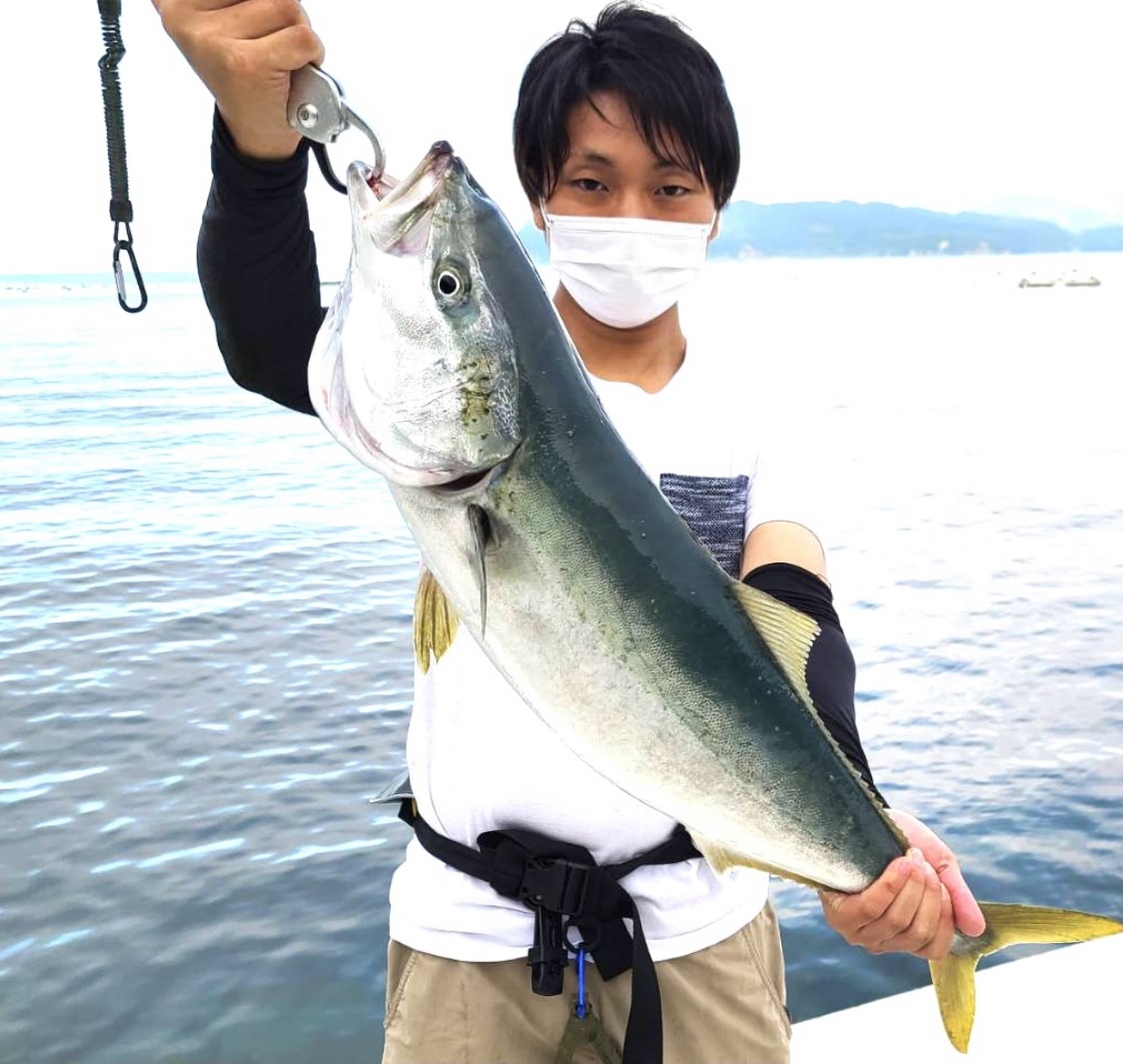 愛南町 ロックフィッシュゲーム 釣りのポイント